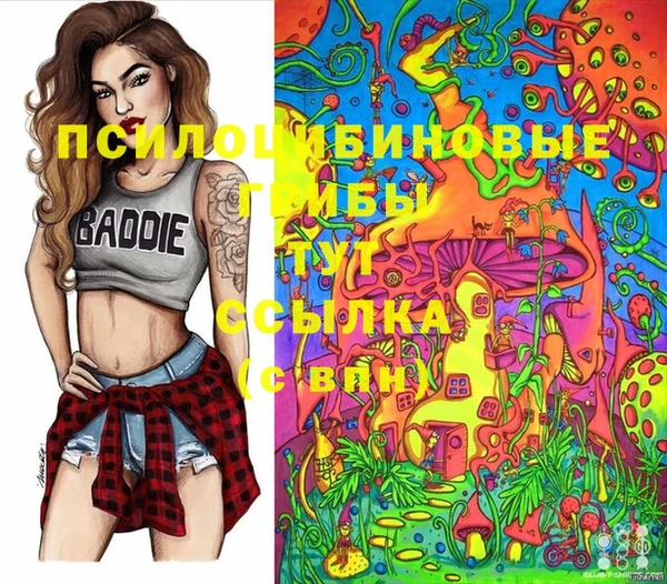 гидропоника Инсар