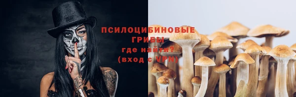 мяу мяу мука Зеленокумск