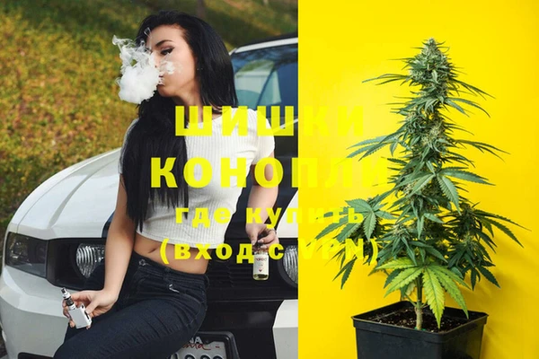 ПСИЛОЦИБИНОВЫЕ ГРИБЫ Зеленодольск