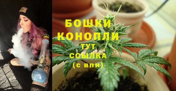 гидропоника Инсар