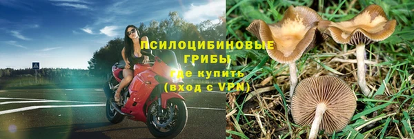 СК Иннополис
